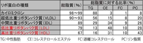 悪玉コレステロール、エストロゲン、妊活、胎芽授精